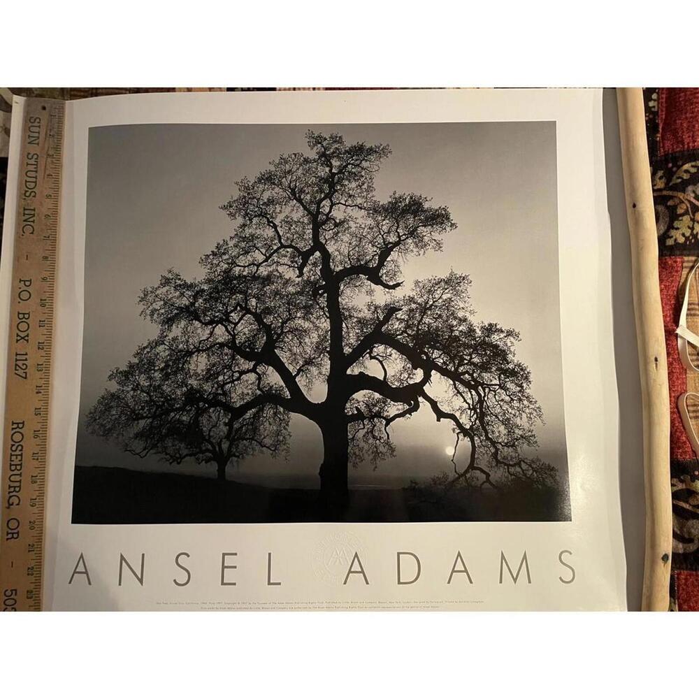 ANSEL ADAMS - Oak Tree, Sunset City, California Print 30” X 24” Embossed Poster